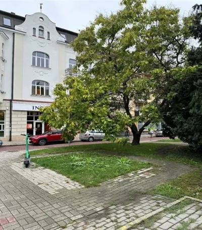 zdjęcie do
														 artykułu: 10 - Plac Wolności 1, lokalizacja A